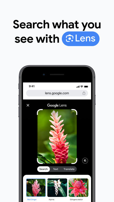 Google Chrome screenshot