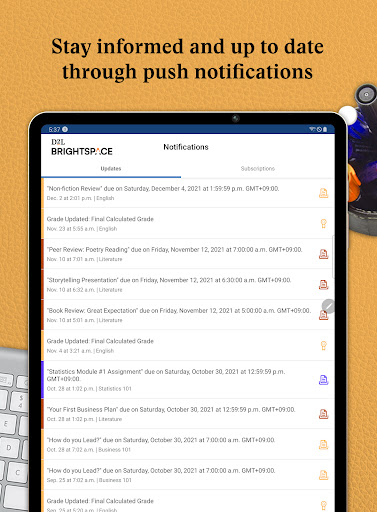 Brightspace Pulse screenshot
