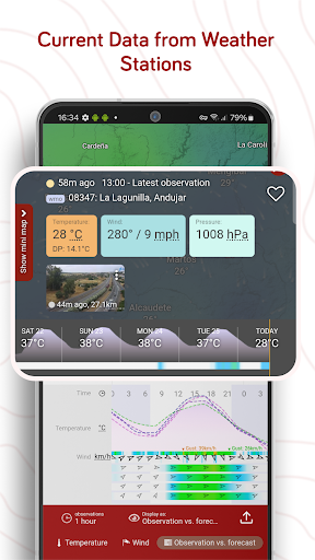Windy.com - Weather Forecast screenshot
