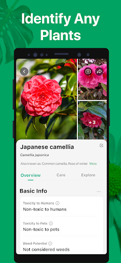 PictureThis - Plant Identifier screenshot