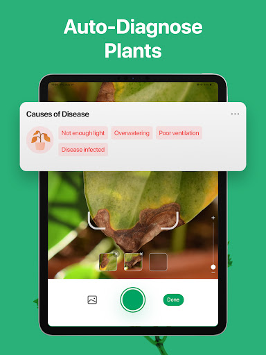 PictureThis - Plant Identifier screenshot