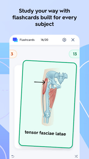 Quizlet: More than Flashcards screenshot