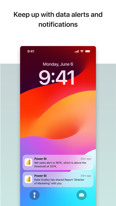 Microsoft Power BI screenshot
