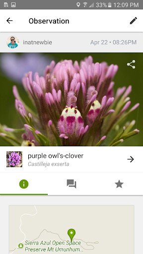 iNaturalist screenshot