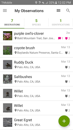 iNaturalist screenshot