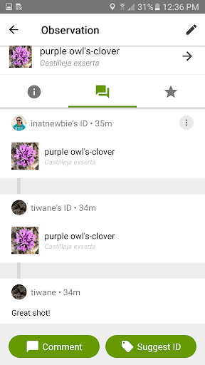 iNaturalist screenshot