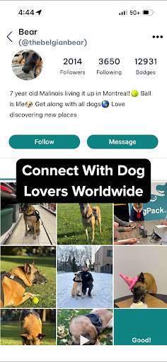 DogPack: Dog Friendly Spots screenshot