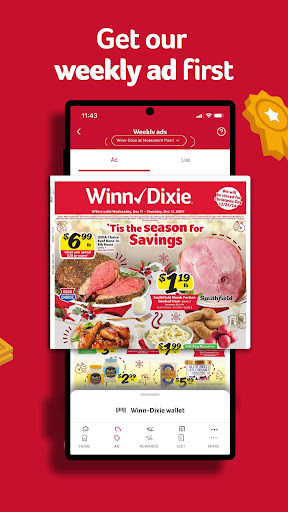 Winn-Dixie screenshot
