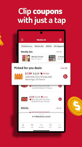 Winn-Dixie screenshot