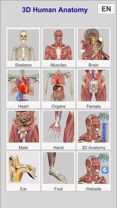 3D Anatomy screenshot
