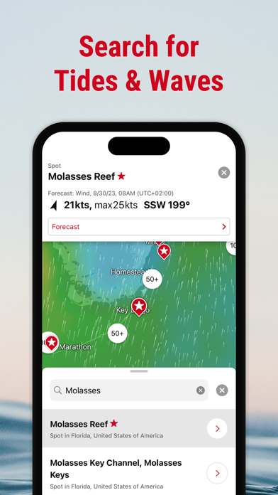 Windfinder Pro: Wind & Weather screenshot