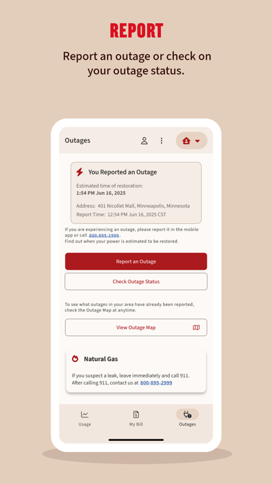 Xcel Energy screenshot