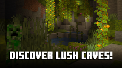 Minecraft: Dream it, Build it! screenshot