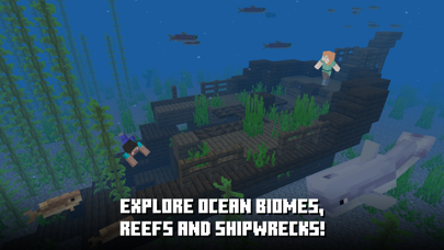 Minecraft: Dream it, Build it! screenshot