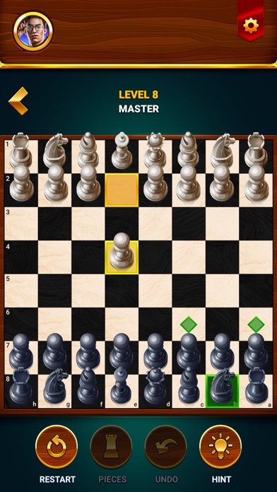 Chess - Offline Board Game screenshot